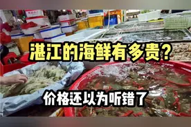 广东湛江海鲜有多贵？在海鲜市场问了下皮皮虾，价格还以为听错了视频封面