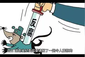 职校干部输送学生去实习，每月300元至600元标准收受贿赂255万元视频封面