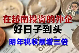 花千芳：在越南投资的外企，好日子到头，明年税收暴增三倍视频封面