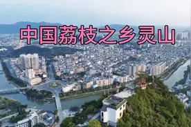 中国荔枝之乡——广西灵山视频封面