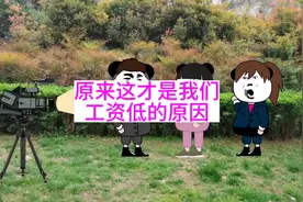 原来这才是我们工资低的原因视频封面