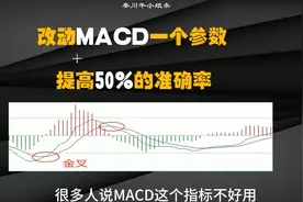 A股：MACD只要改动一个参数，就可以提高50%的准确率视频封面