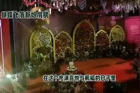 "婚礼现场蝴蝶降临新娘肩，浪漫祝福见证真爱永恒"