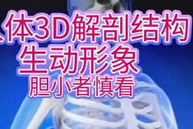 完整版医学人体3D解剖结构生动形象，简单易懂 值得收藏视频很长视频封面