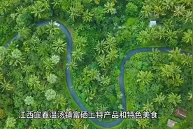 江西宜春温汤镇的富硒土特产品真丰富啊！视频封面