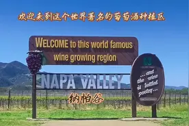 美国🇺🇸加州 “纳帕谷”是美国著名的酒谷 著名的加州葡萄酒产地视频封面