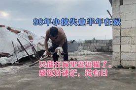 98年小伙失业半年在家，感觉好迷茫找不到方向，只能在家里逗逗猫视频封面