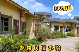 乡村民宿小院，300元住一个月，还可以自己种菜，你想来体验吗？视频封面