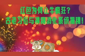 红色为何让牛疯狂？