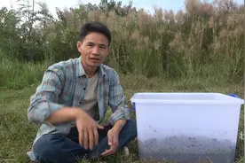 搜寻原始地下暗河，发掘神仙钓位，鱼口太猛了下杆就狂咬钩视频封面