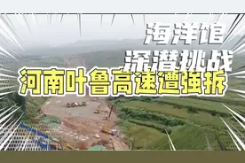 河南叶鲁高速公路下的强拆视频封面