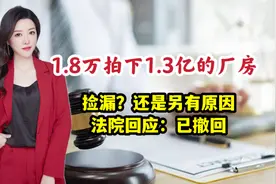 匪夷所思！1.8万拍下价值1.3亿的厂房？是捡漏？还是另有原因视频封面