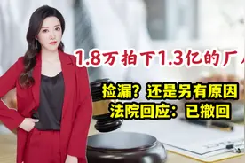 匪夷所思！1.8万拍下价值1.3亿的厂房？是捡漏？还是另有原因视频封面
