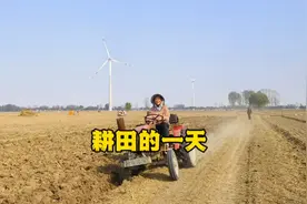 和爸妈下地耕地，先犁地再耙地然后打垄，忙忙碌碌又一天过去了