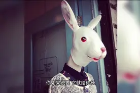 兔头女