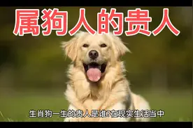 属狗人的贵人是谁视频封面
