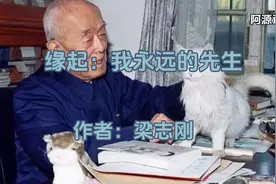 季羡林老先生学生梁志刚：缘起，我永远的先生视频封面