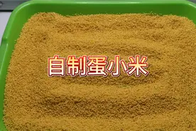 今天教大家几块钱就能做蛋小米，简单易学，看一遍就会了！视频封面