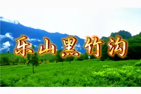 乐山黑竹沟：神秘莫测的原始森林，魅力无穷的自然景观。视频封面