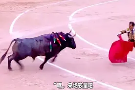 牛是真忌惮红色吗？揭示斗牛场上的秘密。