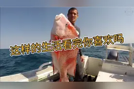 国外小哥带小伙伴体验海岛生活，真刺激视频封面