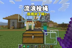 我的世界：流浪栓绳，你用对了吗？