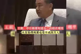头发染得再黄也成不了西方人
