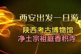陕西考古博物馆来参观的人少啊，香积寺香火旺。视频封面