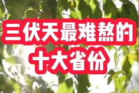 三伏天最煎熬的十大省份，高温潮湿闷热，看看有你家乡吗视频封面