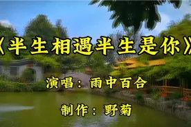 雨中百合演唱《半生相遇半生是你》感人走心，触动心弦，百…视频封面