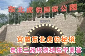 走进亚洲最大东宁要塞，穿越东北虎豹秘境，人比野兽更可怕