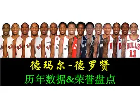 德玛尔德罗赞历年数据和荣誉盘点