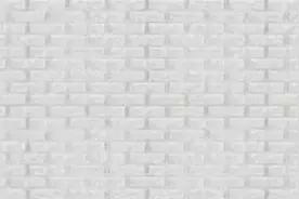 [初音Al]巴迪的基础教育之歌