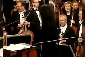 《万泉河水》奥地利乐团演奏令人陶醉视频封面