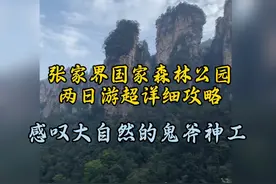 张家界国家森林公园两日游攻略，感叹大自然的鬼斧神工！