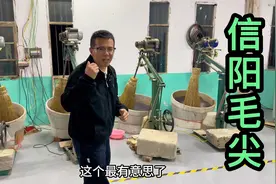 大鹏定制了1000斤信阳毛尖，斤价还不到300，口粮茶性价比很高视频封面