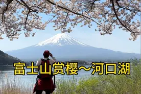 赏樱之旅～富士山河口湖的樱花，等了十天，真的随便一拍就是大片视频封面