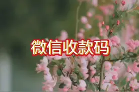 手机微信中的收款码如何打印？
