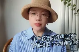 中广核集团薪资待遇？下属26家子公司详情，哪家公司最好？(上)视频封面
