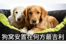 17000后，狗窝安置在何方最吉利？