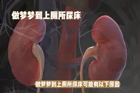 做梦梦到上厕所可能有以下原因视频封面