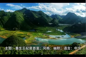 重生王妃 是首富视频封面