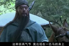 你知道在三国所有坐骑中，谁的坐骑才是最强的吗#三国演义视频封面