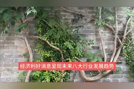 经济利好消息：未来可期的八大行业视频封面