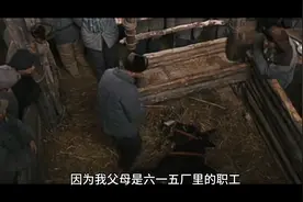 两块黄金，五个人的命运被改变。人算不如天算呐视频封面