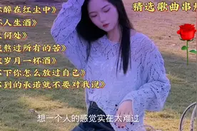 这些歌太好听了，每一首都不容错过视频封面
