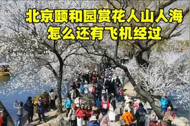 北京颐和园赏桃花人山人海，天空突然出现一架飞机，怎么回事啊？视频封面