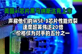 美国AI芯片黑马——Cerebras Systems正准备在纳斯达克视频封面