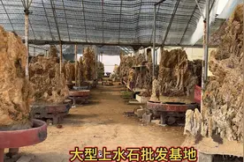 北方最大的上水石供货基地，把普通的吸水石雕刻成意境十足的假山视频封面