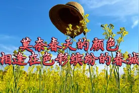 莫奈春天的颜色，五彩斑斓仿佛秋色，海鸥飞舞，相逢在昆明的春天视频封面